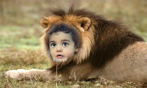 Loin Photo Frames