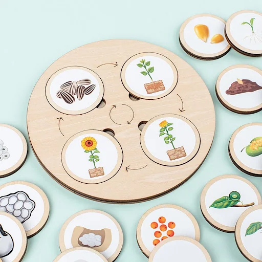 Sweet Shop: Freebies & Toys