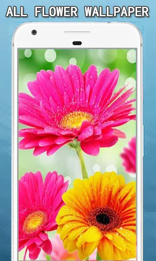 ALL Flowers Wallpapers Hd