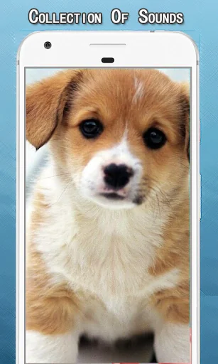 Dog Growling Sounds Ringtone