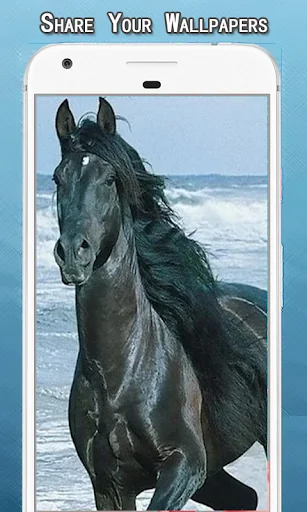 Horses Wallpapers Hd