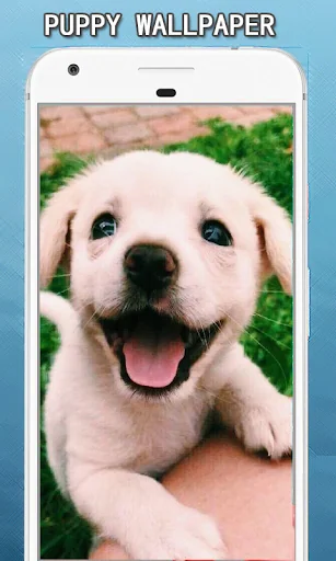 Cute Puppy Dog Wallpapers Hd