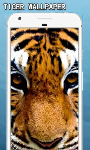 Tiger Wallpapers Hd