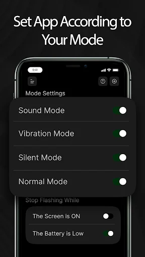 Flash on Call and SMS screenshot 3