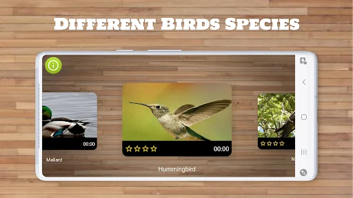 Bird Puzzle Games screenshot 2