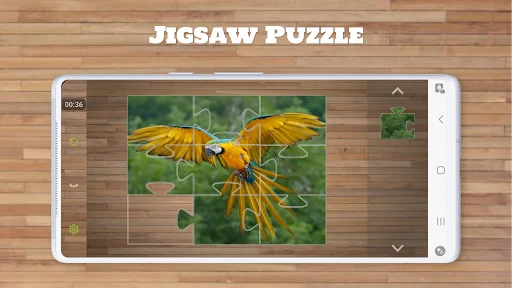 Bird Puzzle Games screenshot 3