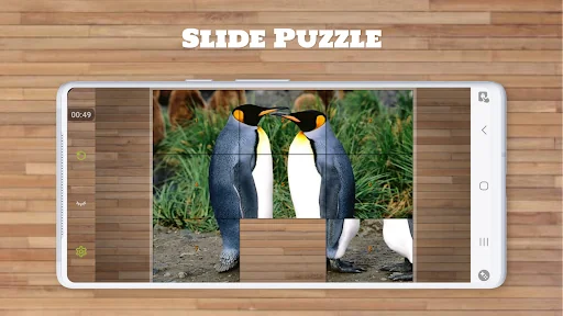 Bird Puzzle Games screenshot 4