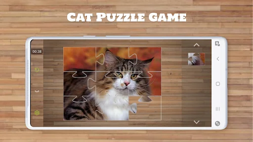 Cat Puzzle Game
