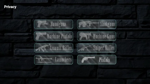 Real Gun Sounds