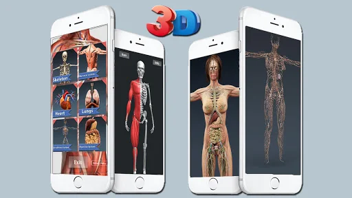 Human Anatomy And Physiology screenshot 1