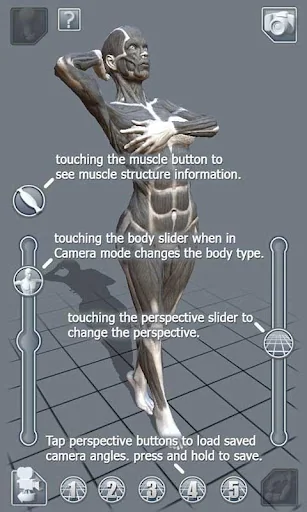 ArtPose Female Edition screenshot 4