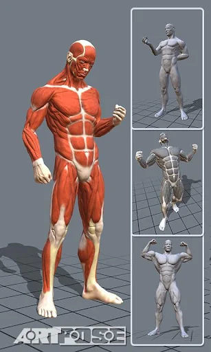 ArtPose Male Edition screenshot 1