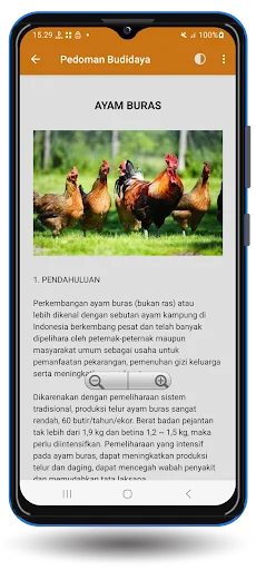 Budidaya Hewan & Tanaman