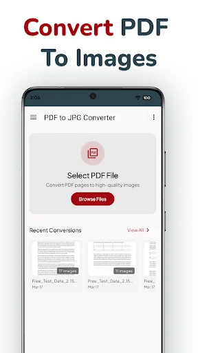 PDF to JPG Converter