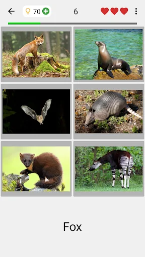 Animals Quiz Learn All Mammals screenshot 2