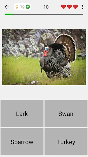 Animals Quiz Learn All Mammals screenshot 4