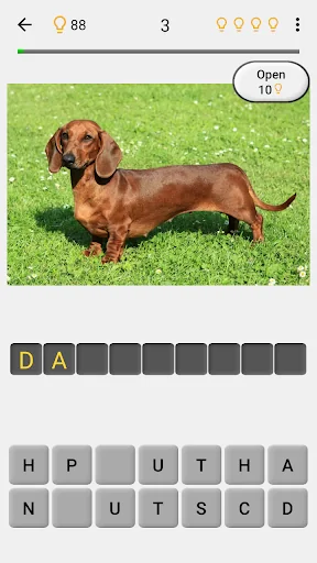 Dogs Quiz - Guess All Breeds! screenshot 2