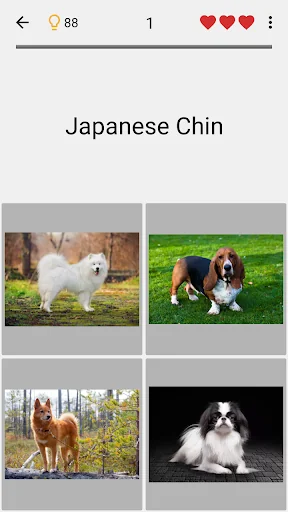 Dogs Quiz - Guess All Breeds! screenshot 4