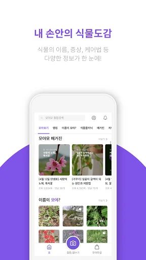 모야모 (식물 식별, 병충해 진단)