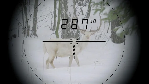 ATN Ballistics screenshot 3