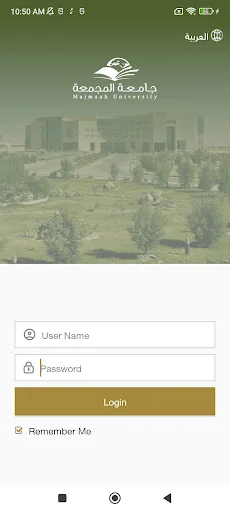 جامعة المجمعة