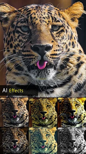 HD Photo Editor
