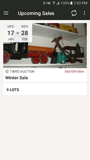 Lloyds of Lakeland Auction