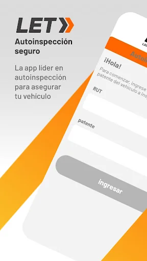 Autoinspección Seguro screenshot 1