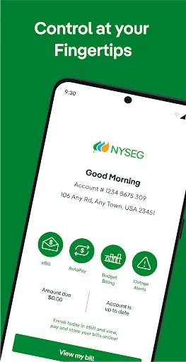 NYSEG