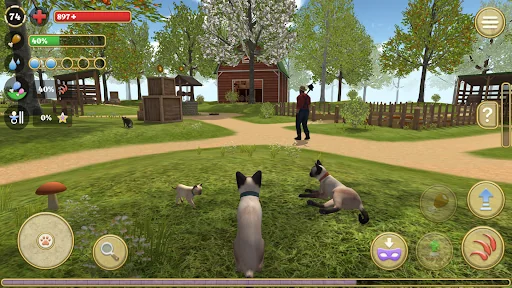 Cat Simulator : Kitties Family screenshot 2