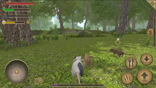 Mouse Simulator :  Forest Home screenshot 1