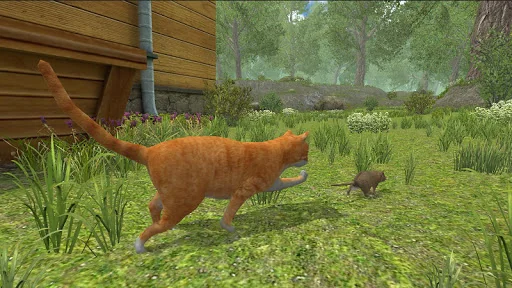 Mouse Simulator :  Forest Home screenshot 3