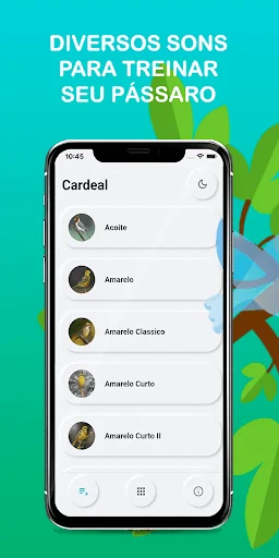 Songs of Cardeal