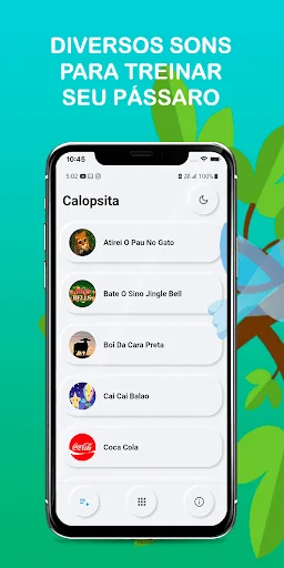 Songs of Calopsita