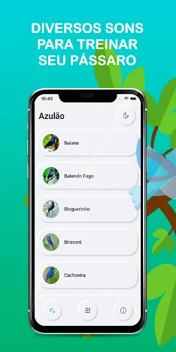 Songs of Azulão Brazil