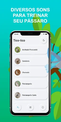 Bird songs of TicoTico