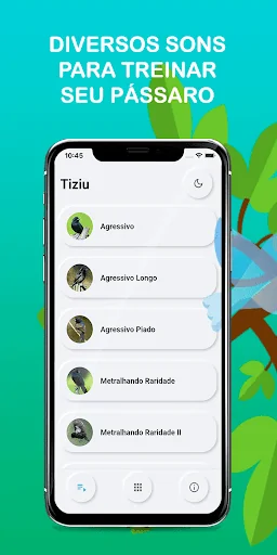 Bird songs tiziu brazil