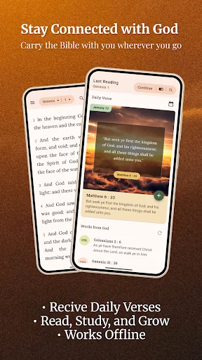 KJV Bible - Louis Segond