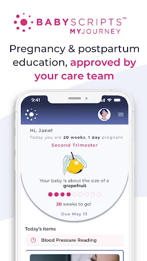 Babyscripts myJourney™️