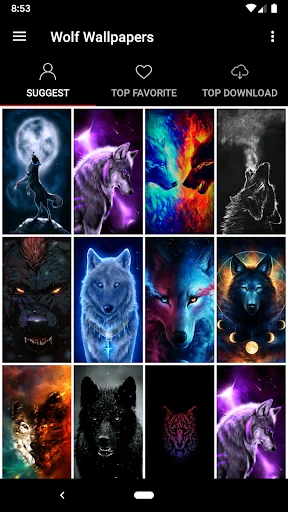 Wolf Wallpapers Offline