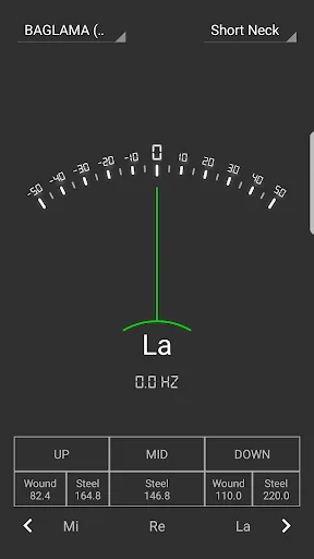Baglama Tuner