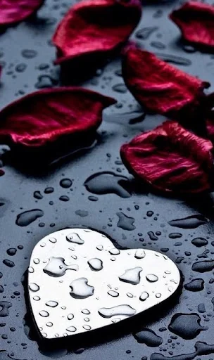 Heart Wallpapers