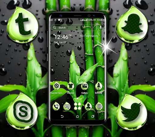 Bamboo Water Drop Theme