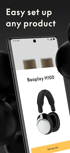 Bang & Olufsen screenshot 1