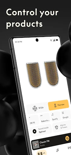 Bang & Olufsen screenshot 2