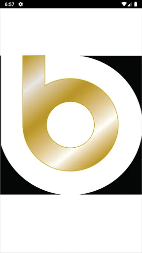 Bank of Bartlett screenshot 1