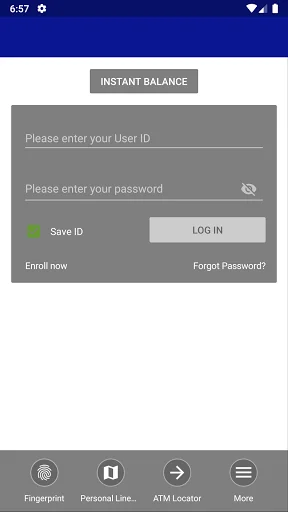 Bank of Bartlett screenshot 2
