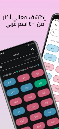 معاني الأسماء بدون نت screenshot 1