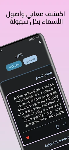 معاني الأسماء بدون نت screenshot 4