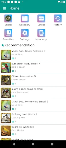 Suara Burung Ciblek Pikat